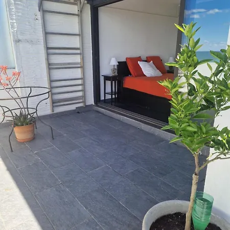 Apartman With Terrace In Saint-cyprien Saint-Cyprien