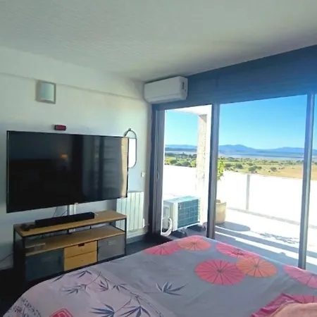 With Terrace In Saint-cyprien Saint-Cyprien (Pyrenees-Orientales)
